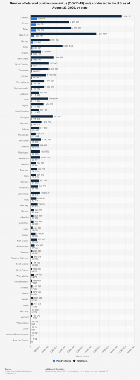 statistic_id1111716_number-of-covid-19-tests-conducted-in-the-us-as-of-august-23-2020-by-state (1).png