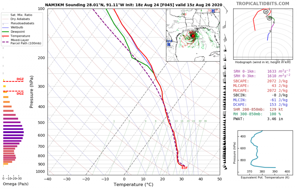 nam3km_2020082418_fh45_sounding_28.01N_91_11W.thumb.png.35d783cebeeabb094b123a5cd2ac1879.png