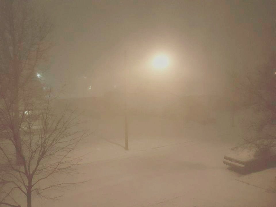 20200831_213539.jpg.210b9a927ab54c2d304986c1b0ae20c4.jpg