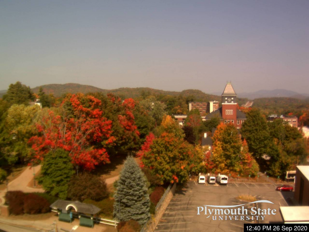 plymfoliage.png