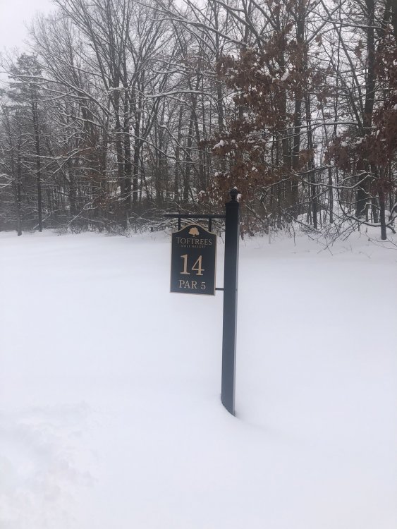 golf course.jpg