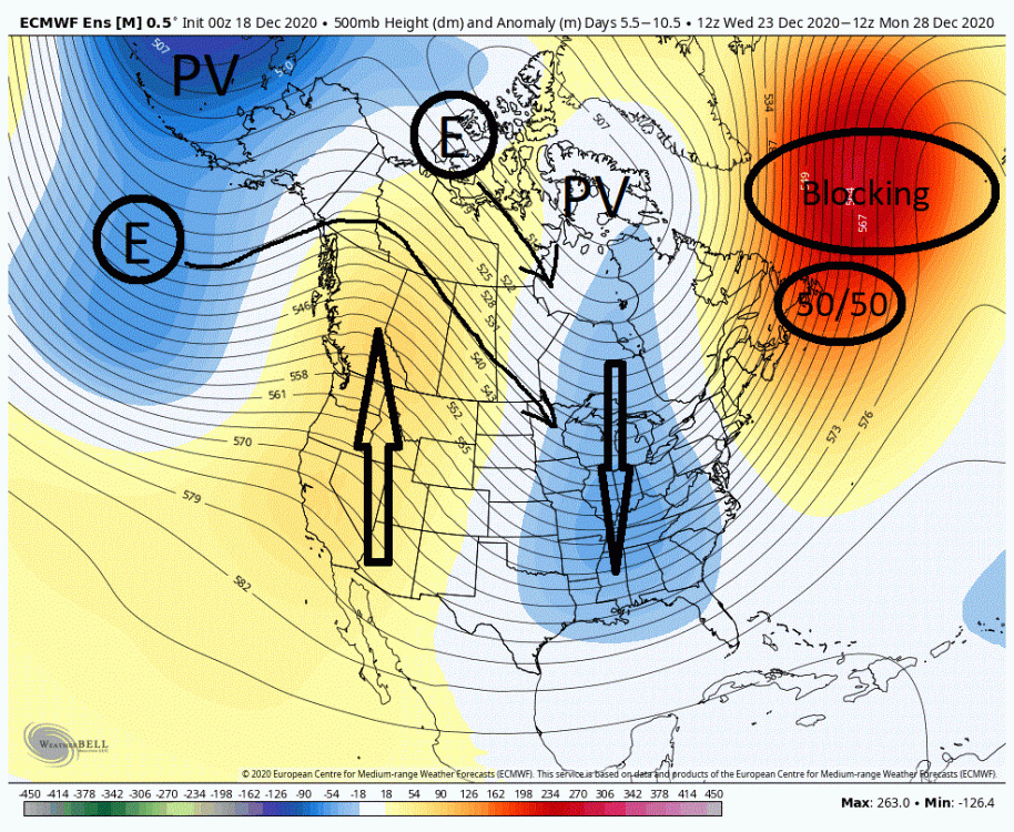 Euro500sdec18.thumb.gif.b070f13a9ac724825ef11f1e5270914a.gif