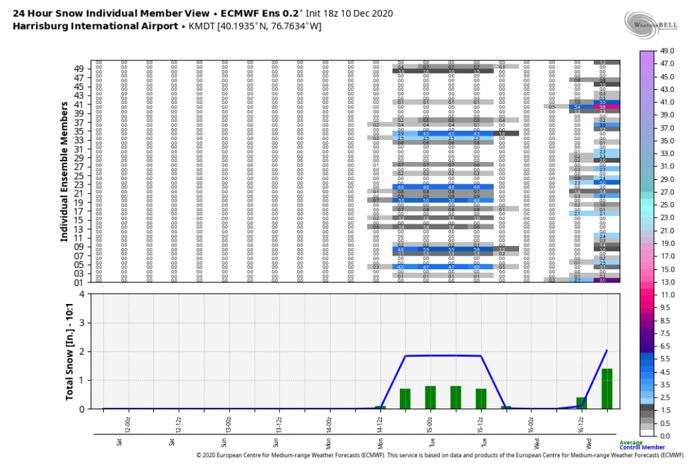 ecmwf-ensemble-KMDT-indiv_snow_24-7623200.thumb.png.5fc1c15e6825bc8082e217f9fe2b69f1.png