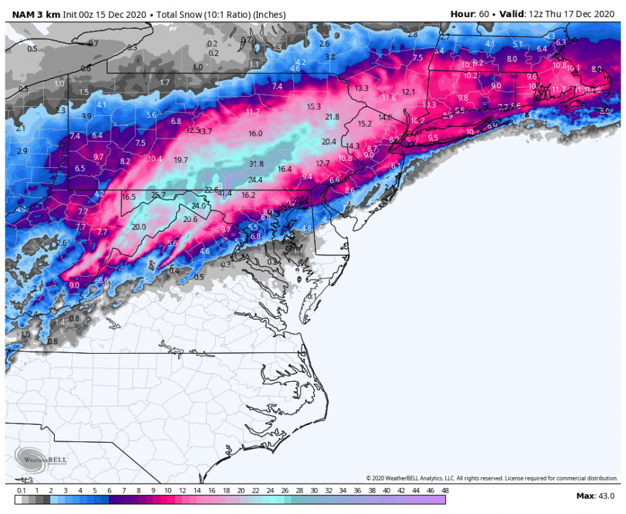 nam-nest-conus-ma-total_snow_10to1-8206400.png