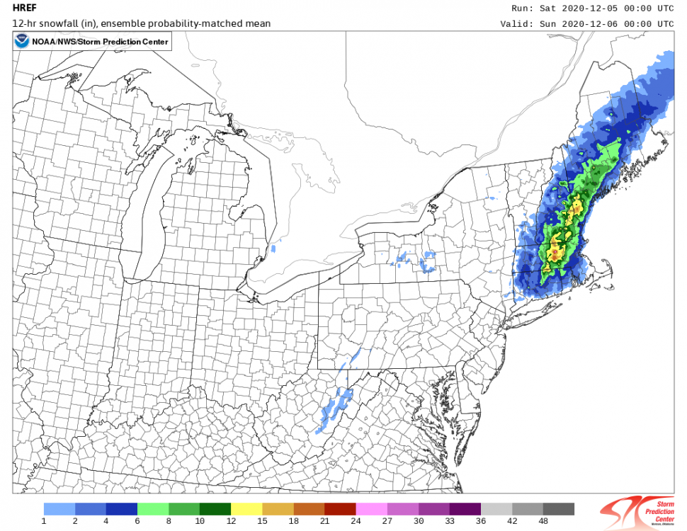 snowfall_012h_pmm.ne.f02400.png