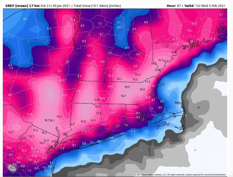 SREF21Z013021.JPG