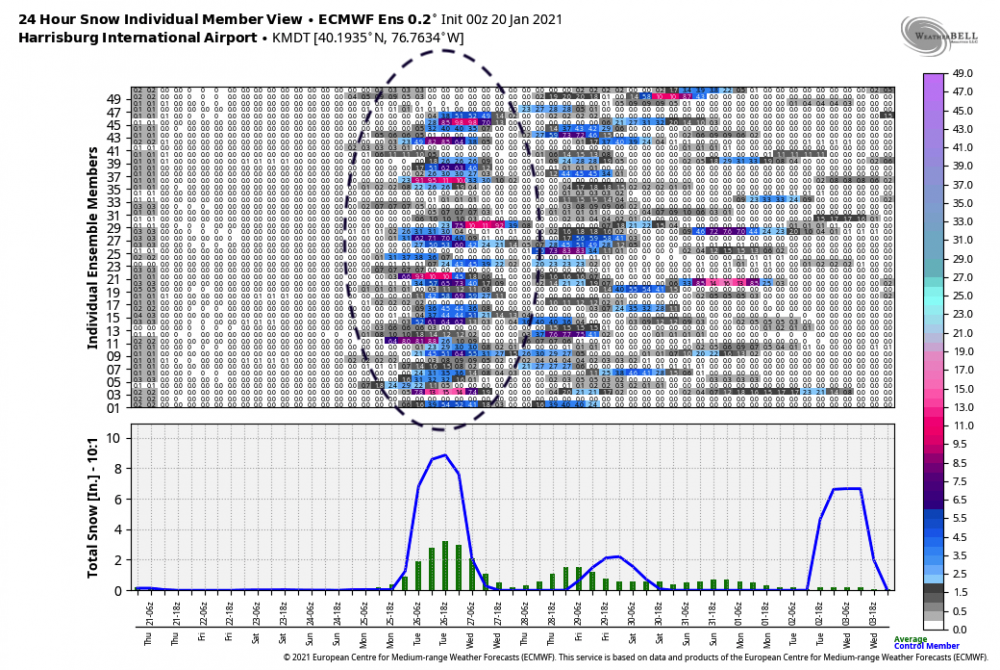 ecmwf-ensemble-KMDT-indiv_snow_24-1100800.thumb.png.6546fd30e353f75374258cfb5bc866d5.png