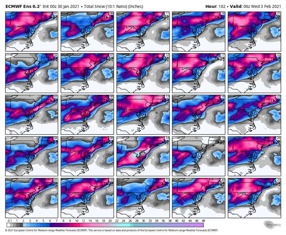 ecmwf-ensemble-avg-ma-snow_total_multimember_panel_ecmwf_a-2332000.thumb.png.a688b8e389ddc9ae64b1cc0140619582.png