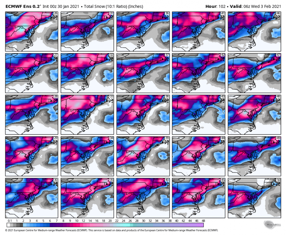 ecmwf-ensemble-avg-ma-snow_total_multimember_panel_ecmwf_b-2332000.thumb.png.a1585bc697c1e8a90d7b6b1796ac1575.png