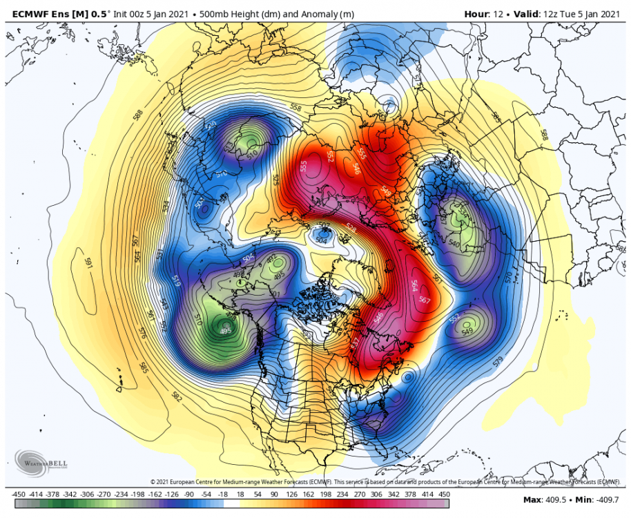 ecmwf-ensemble-avg-nhemi-z500_anom-9848000.thumb.png.e914b4bd05ca35e1060ef1e67f6e3a11.png