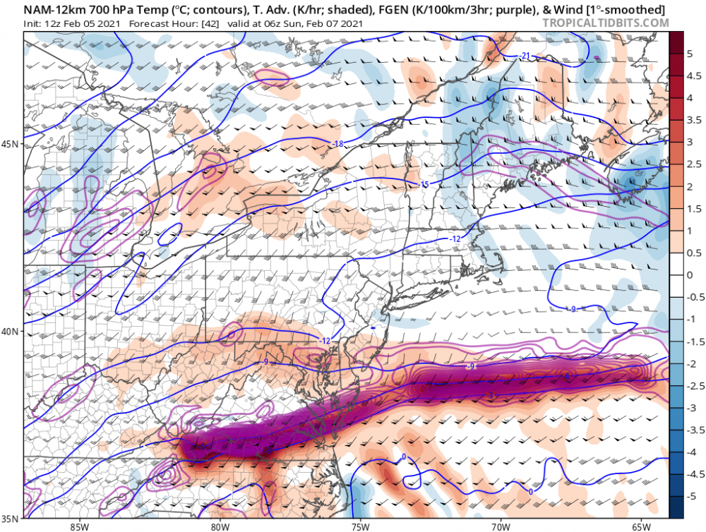 namconus_temp_adv_fgen_700_neus_39 (1).png