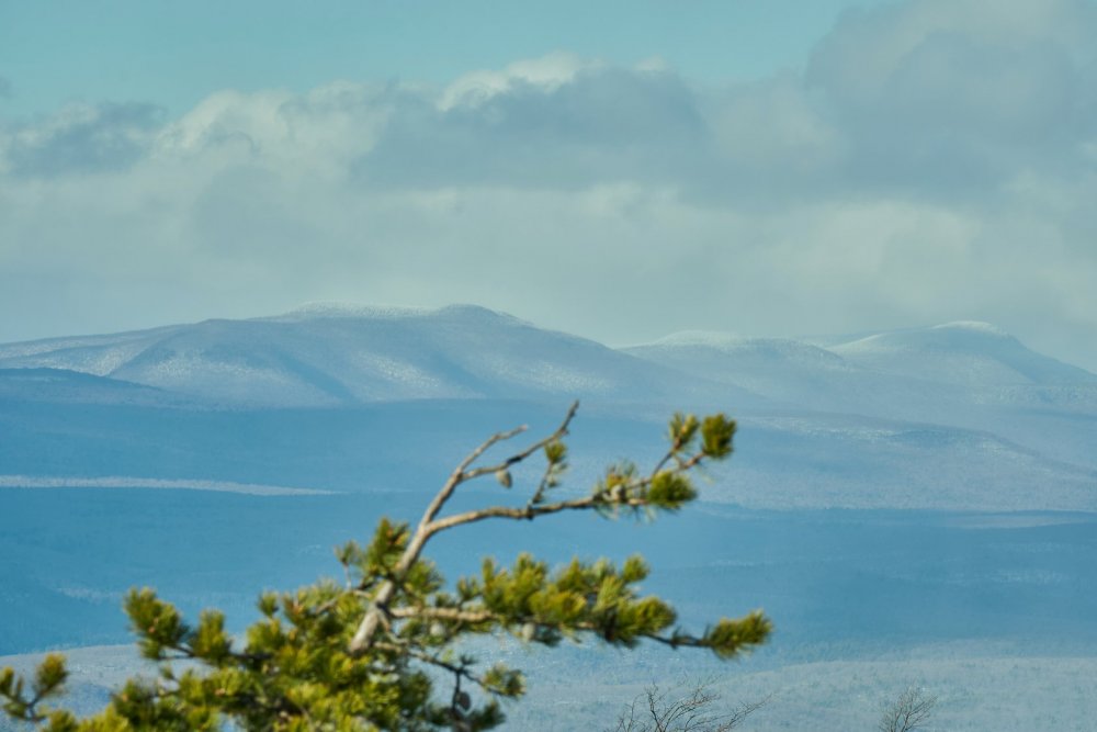 Distant Snow Squalls (Sams) 1-20-21.jpg