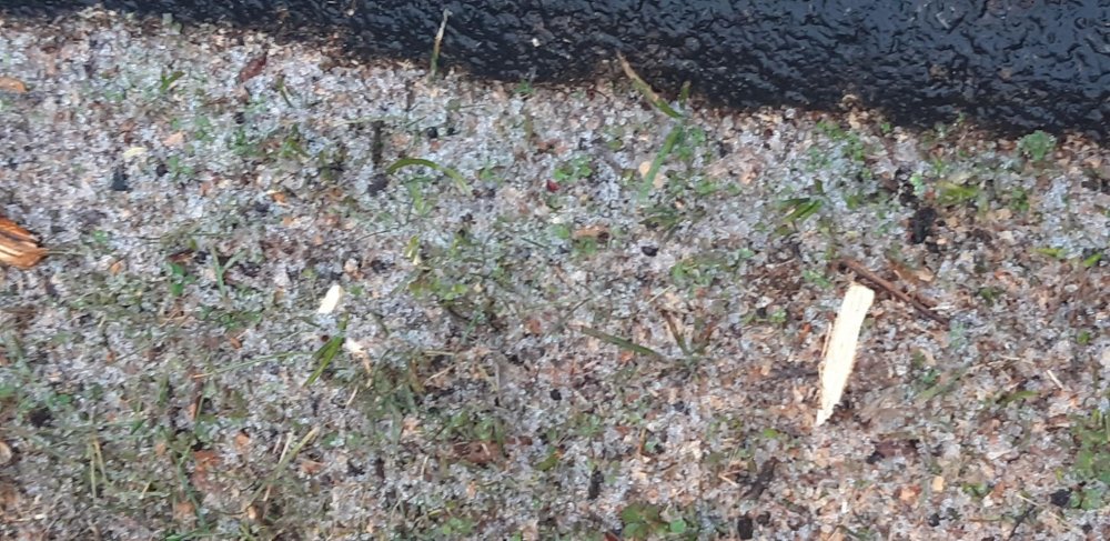 sleet feb 26 2021 pic 33.jpg