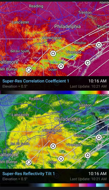 Screenshot_20210218-102149_RadarScope.jpg