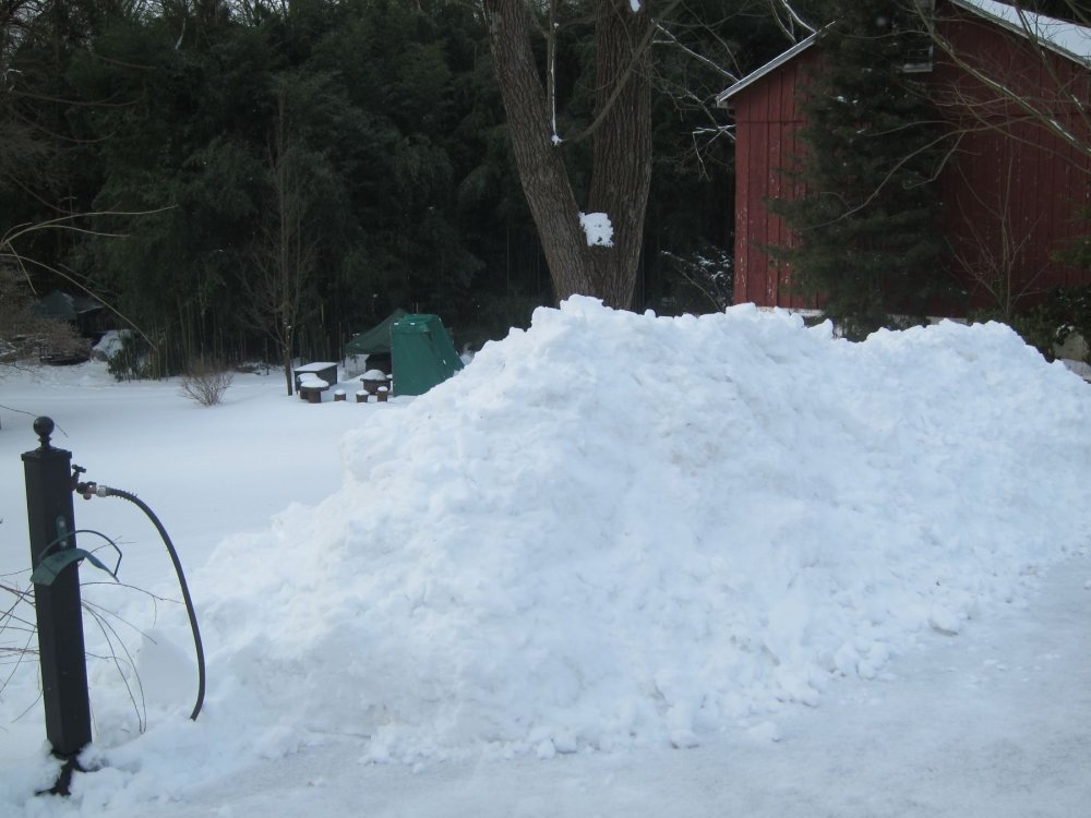 Snowpile-2-03-21.thumb.jpg.741b29b55e44d79a4aeea7b0673f2793.jpg