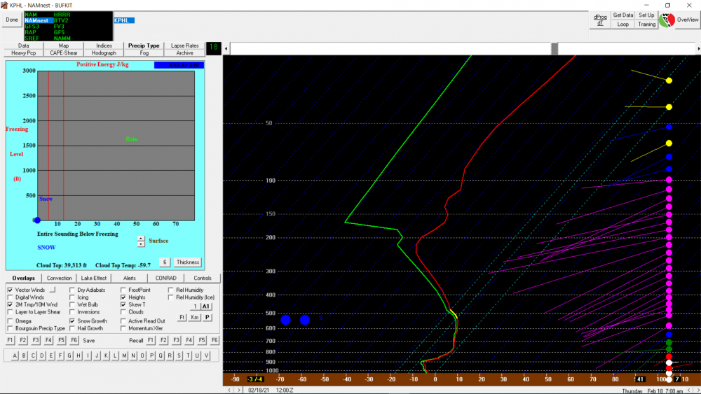 nam-nest-bufkit-sounding-727am-02182021.PNG