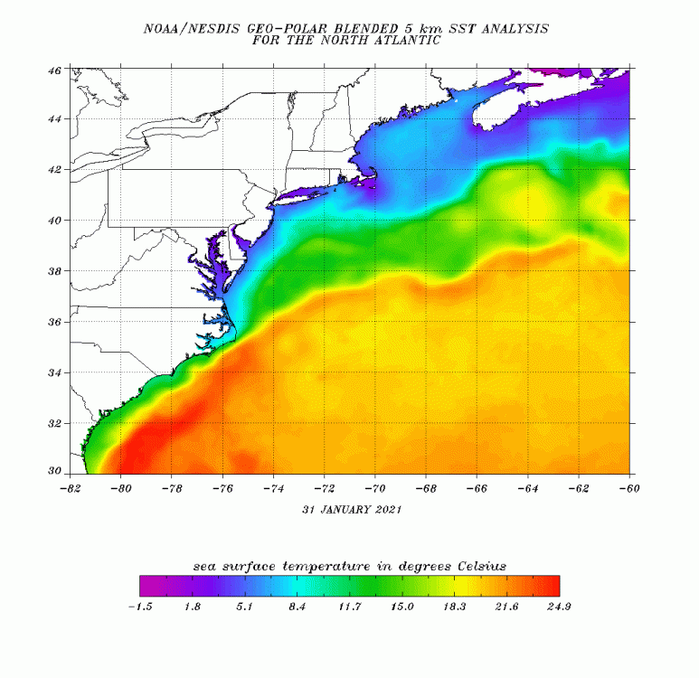 ssts-natlanti.cf-jan312021-02012021.gif