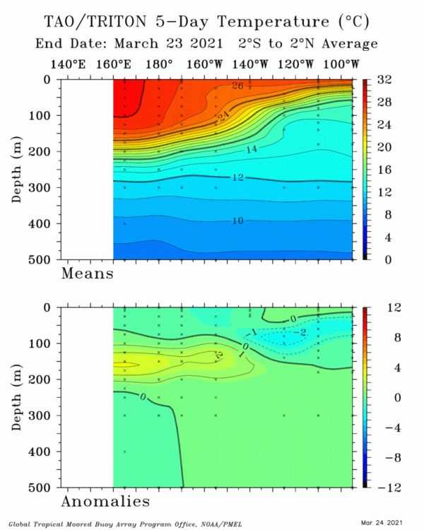 TAO_5Day_EQ_xz.gif