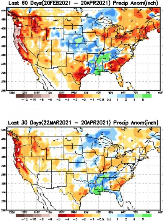30-60day_precipanom.jpg