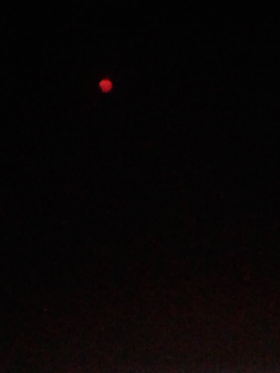 20210610_052709.thumb.jpg.3bd04f4b5c377540c357e4a61f8fbe12.jpg