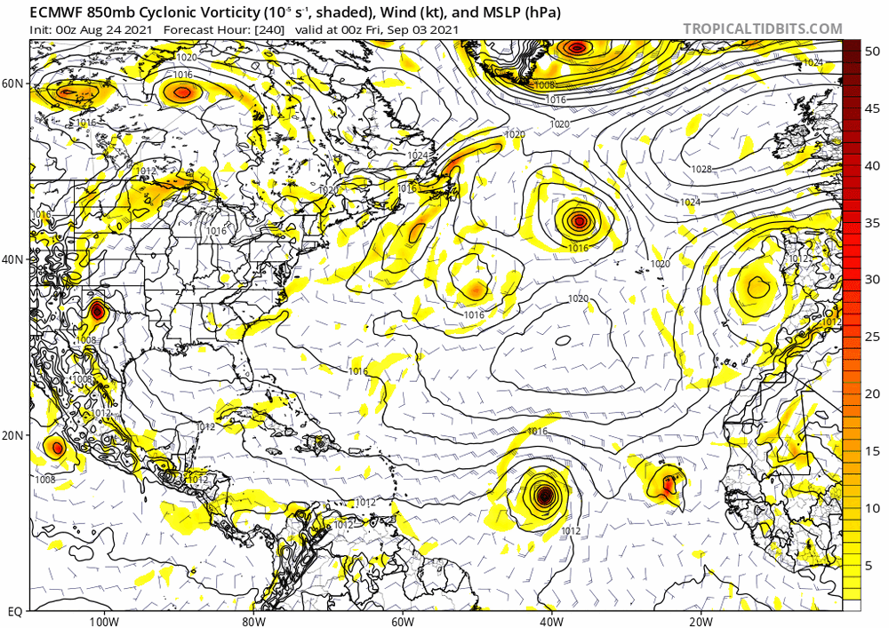 ecmwf_uv850_vort_atl_fh240-240.thumb.gif.476a7cb2a30145eb4af40ee58df99748.gif