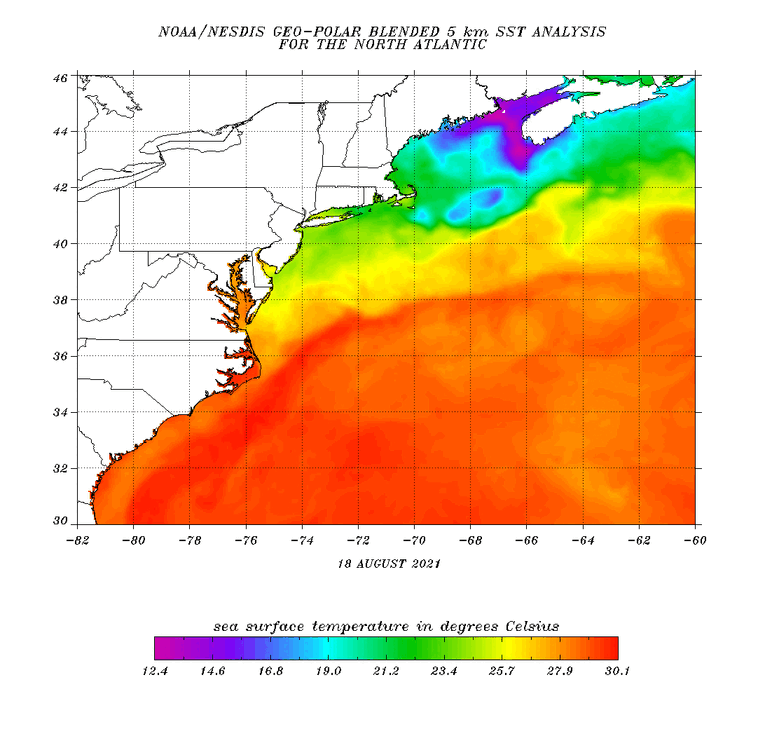 sst-natlanti.cf-08192021.gif