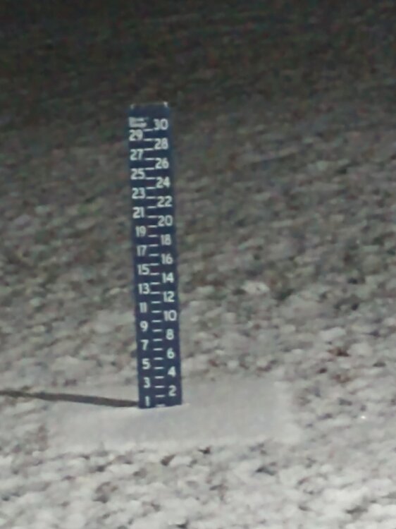 Dec 24 snow measurement.jpg
