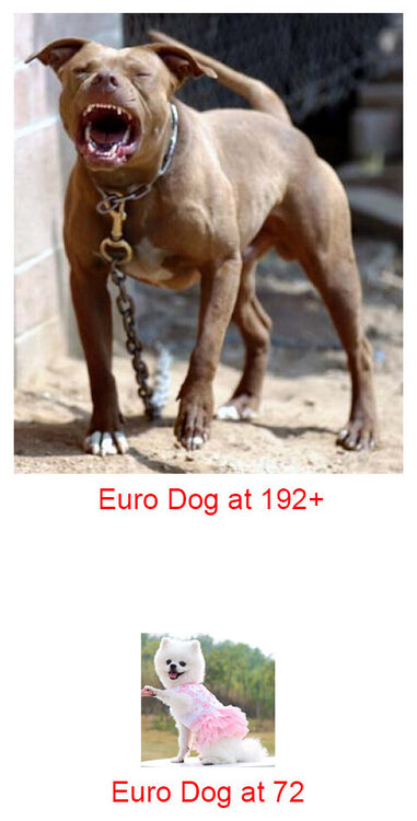 eurodog.thumb.jpg.2df5ce621a3f1f9f1f8b7a43557cc4e4.jpg