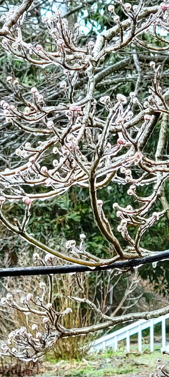 20220116_120535.jpg