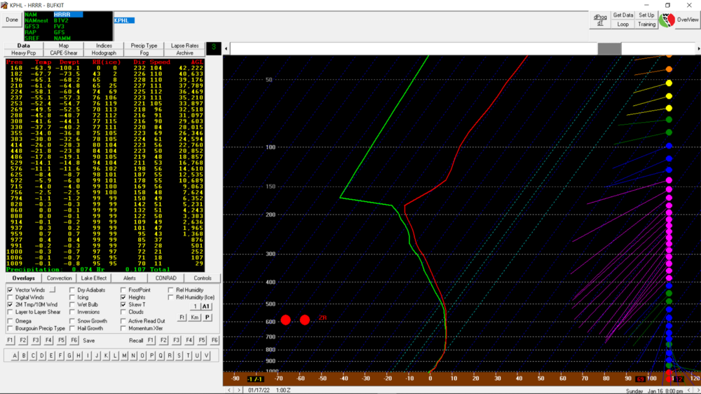 bufkit-skew-t-800pm-01162022.PNG