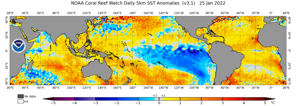 ct5km_ssta_v3.1_tropics_current.png