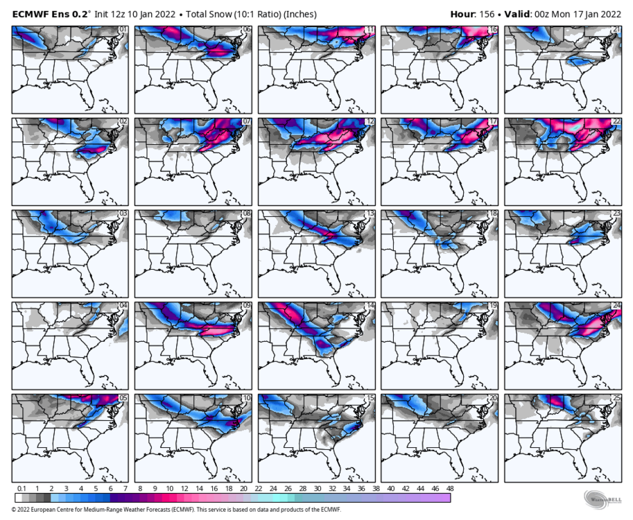 ecmwf-ensemble-avg-se-snow_total_multimember_panel_ecmwf_a-2377600.thumb.png.edddd02b8c8022bf1955e775c1f796f0.png