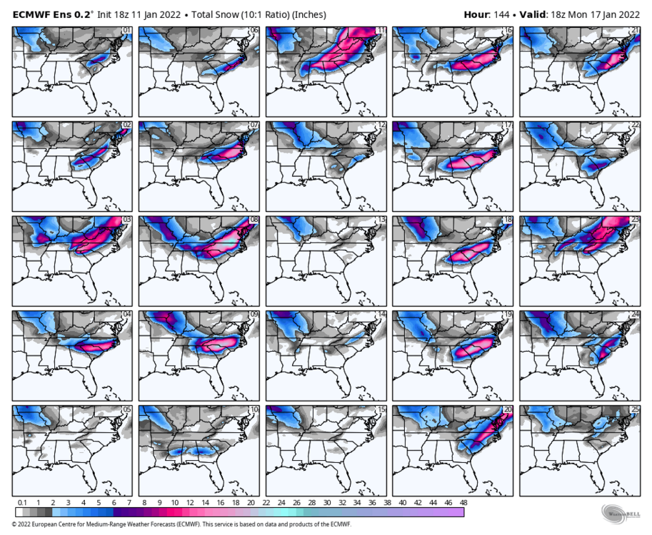 ecmwf-ensemble-avg-se-snow_total_multimember_panel_ecmwf_a-2442400.png