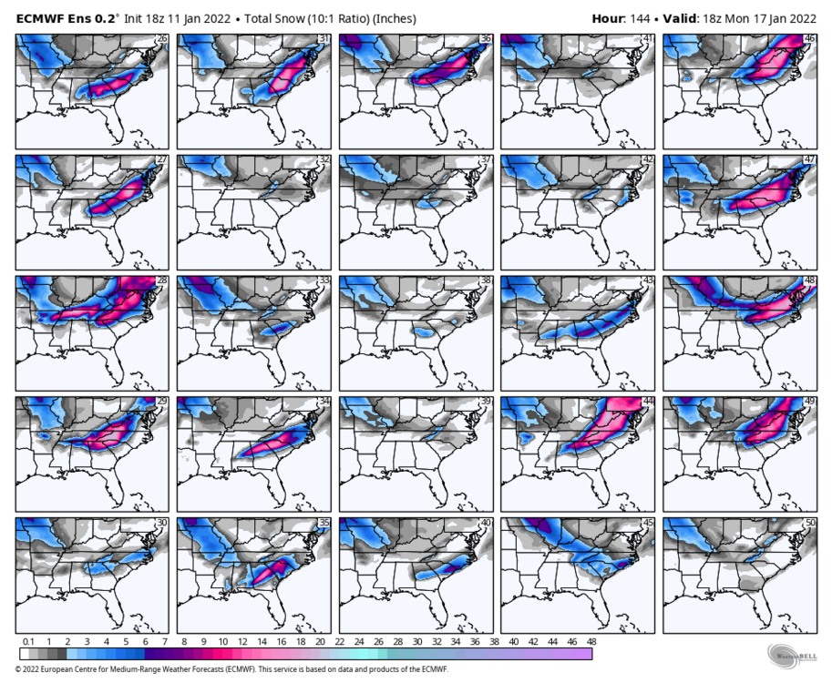 ecmwf-ensemble-avg-se-snow_total_multimember_panel_ecmwf_b-2442400.png