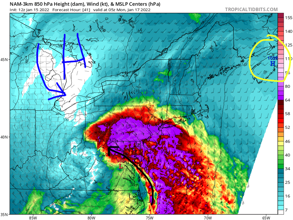 nam-warmth.thumb.png.5d80cb99012b8a7ff2e56272406650dc.png