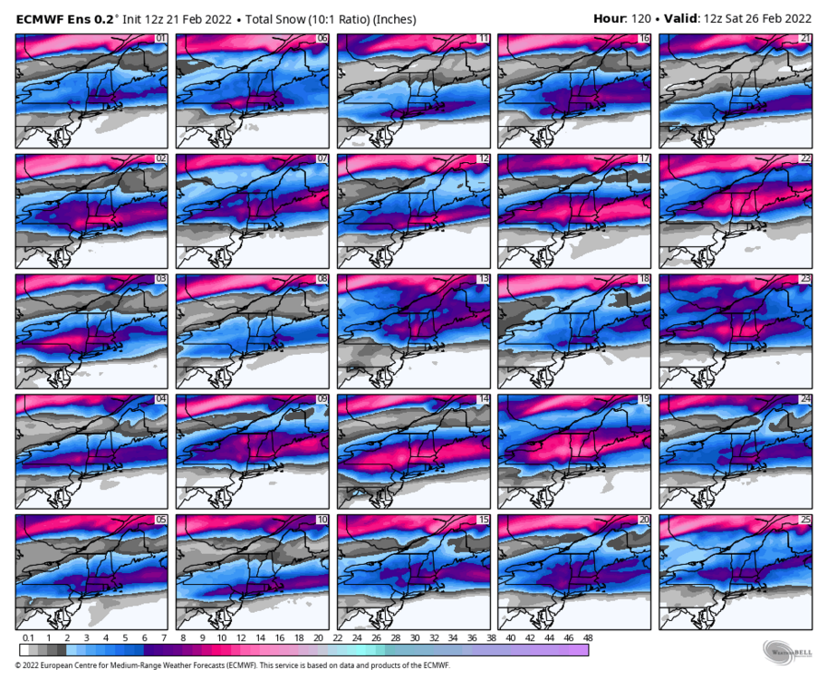 1028775276_ecmwf-ensemble-avg-neng-snow_total_multimember_panel_ecmwf_a-5876800(2).thumb.png.20d22563f1ba0779241bd4936e8cda85.png