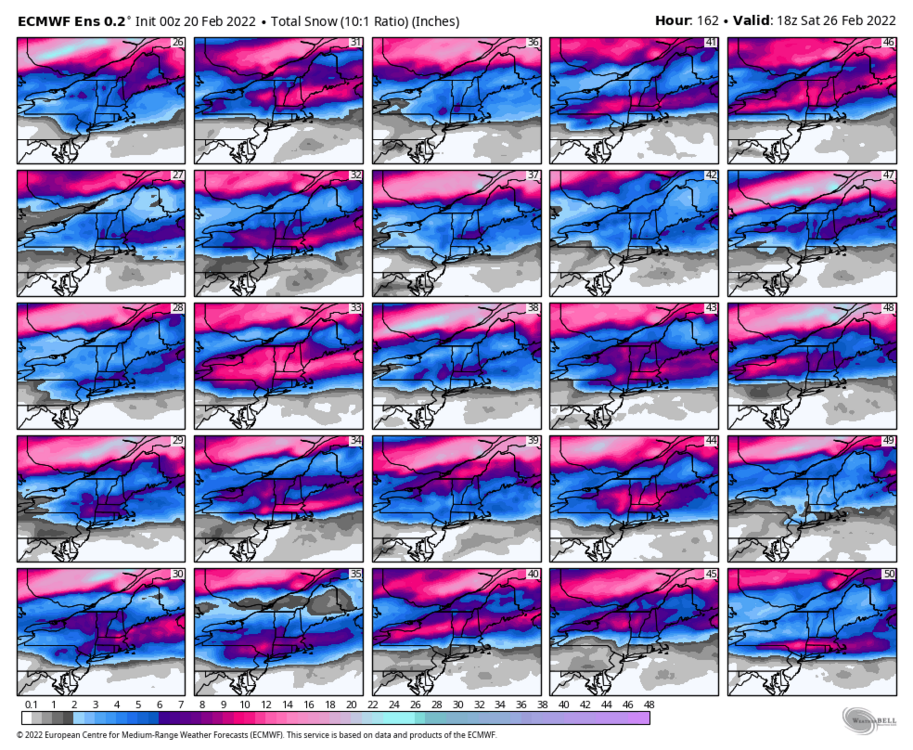 1225648248_ecmwf-ensemble-avg-neng-snow_total_multimember_panel_ecmwf_b-5898400(1).thumb.png.a7d3137f240ca78a2d4be639f8cce2d0.png