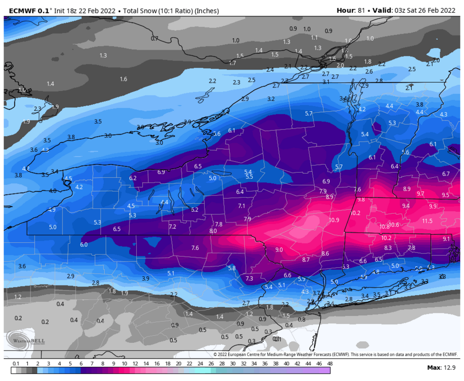 1314785988_ecmwf-deterministic-nystate-total_snow_10to1-5844400(2).thumb.png.70e101cfdec0810a99184ac9fd39718f.png