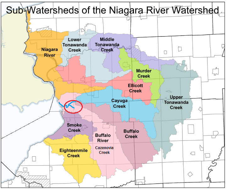 wny water shed map.png