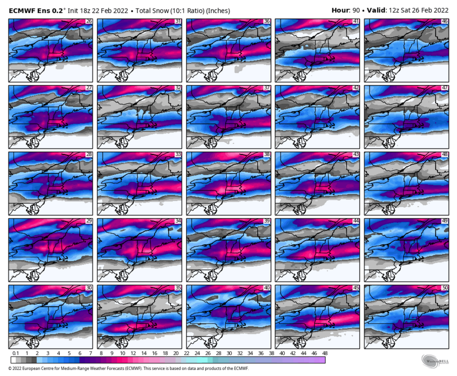 1362856131_ecmwf-ensemble-avg-neng-snow_total_multimember_panel_ecmwf_b-5876800(5).thumb.png.aa464cedfa79c7a7e2b8a879971fb061.png