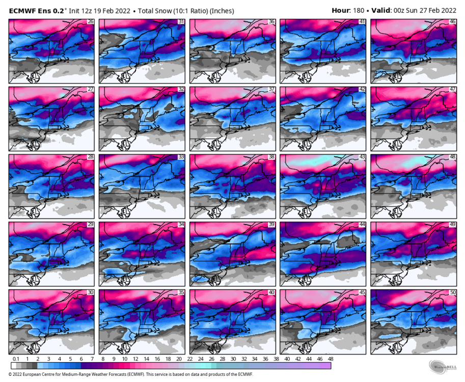 1447045787_ecmwf-ensemble-avg-neng-snow_total_multimember_panel_ecmwf_b-5920000(2).thumb.png.00bd12c5d63d1874ec8cb05ab041fcb9.png