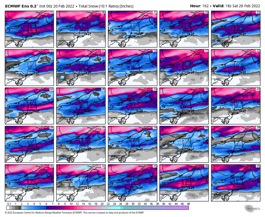 1518767488_ecmwf-ensemble-avg-neng-snow_total_multimember_panel_ecmwf_a-5898400(1).thumb.png.4bfbc157209b66a49e283368e14700de.png