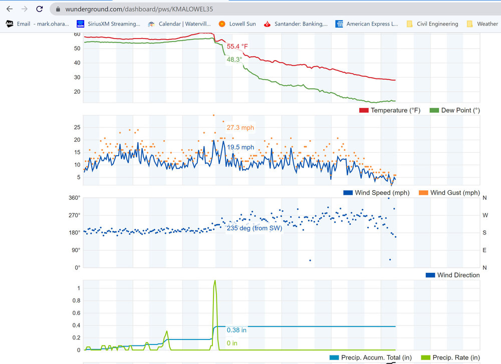 weather at tree fall.jpg