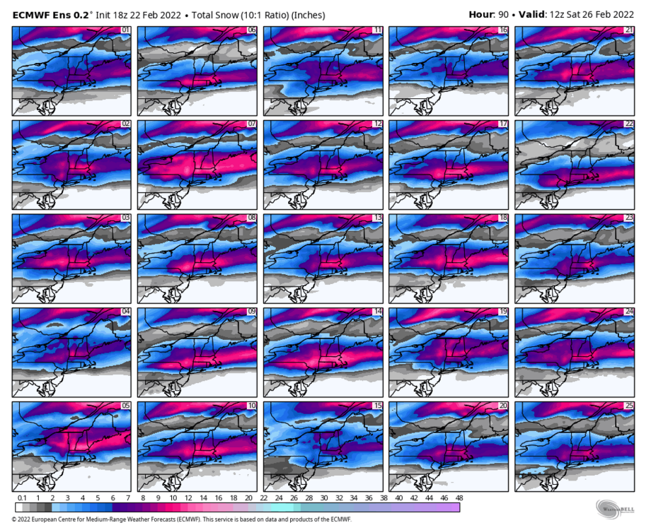 1808999804_ecmwf-ensemble-avg-neng-snow_total_multimember_panel_ecmwf_a-5876800(5).thumb.png.4d7eac72b2e7b1e25359f06a58f43289.png