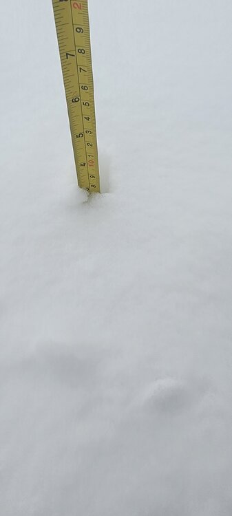 20220202_164220.jpg
