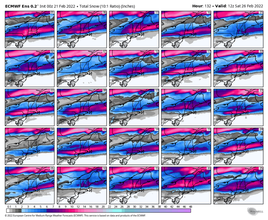 2115663421_ecmwf-ensemble-avg-neng-snow_total_multimember_panel_ecmwf_a-5876800(1).thumb.png.54be349e4d91cbb5a78e659fe412b31c.png