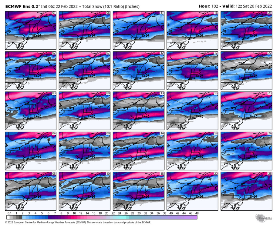 309352515_ecmwf-ensemble-avg-neng-snow_total_multimember_panel_ecmwf_a-5876800(3).thumb.png.0446c38edbdc09ea80881910cada28c8.png