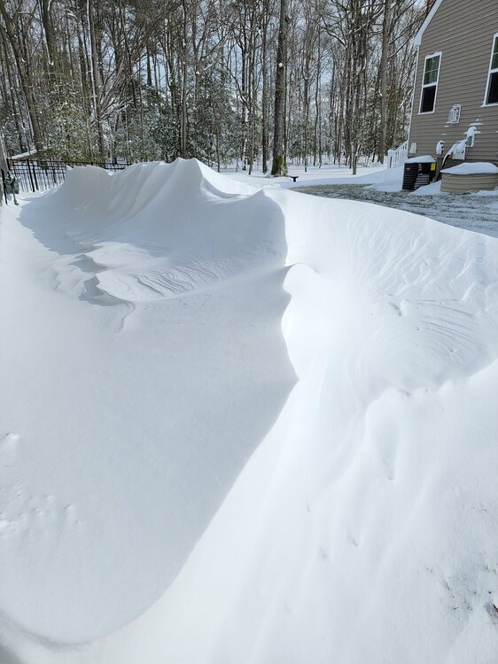 snow drift 1 29 22 storm.jpg