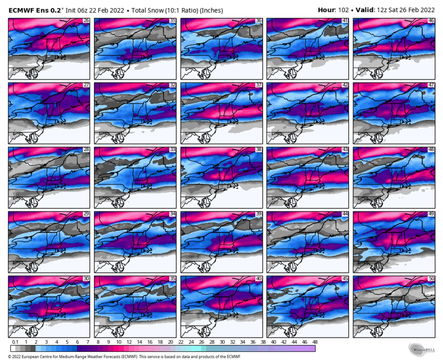 366132785_ecmwf-ensemble-avg-neng-snow_total_multimember_panel_ecmwf_b-5876800(3).thumb.png.e34445a89c155bf5dc29b327a8a7056e.png