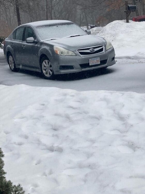 Feb4_sleetaccumulation.jpg